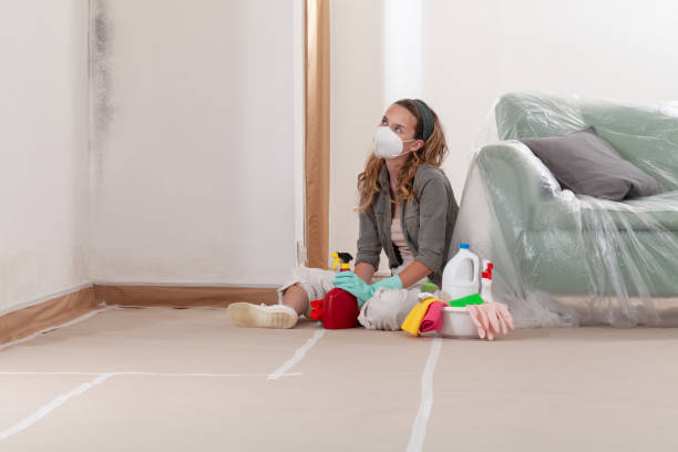 Reliable Crawl Space Mold Remediation contractor in Arlington Heights, WA by 24 Hour Mold Removal